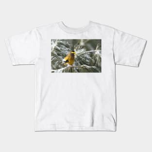 Evening Grosbeak - Algonquin Park Kids T-Shirt